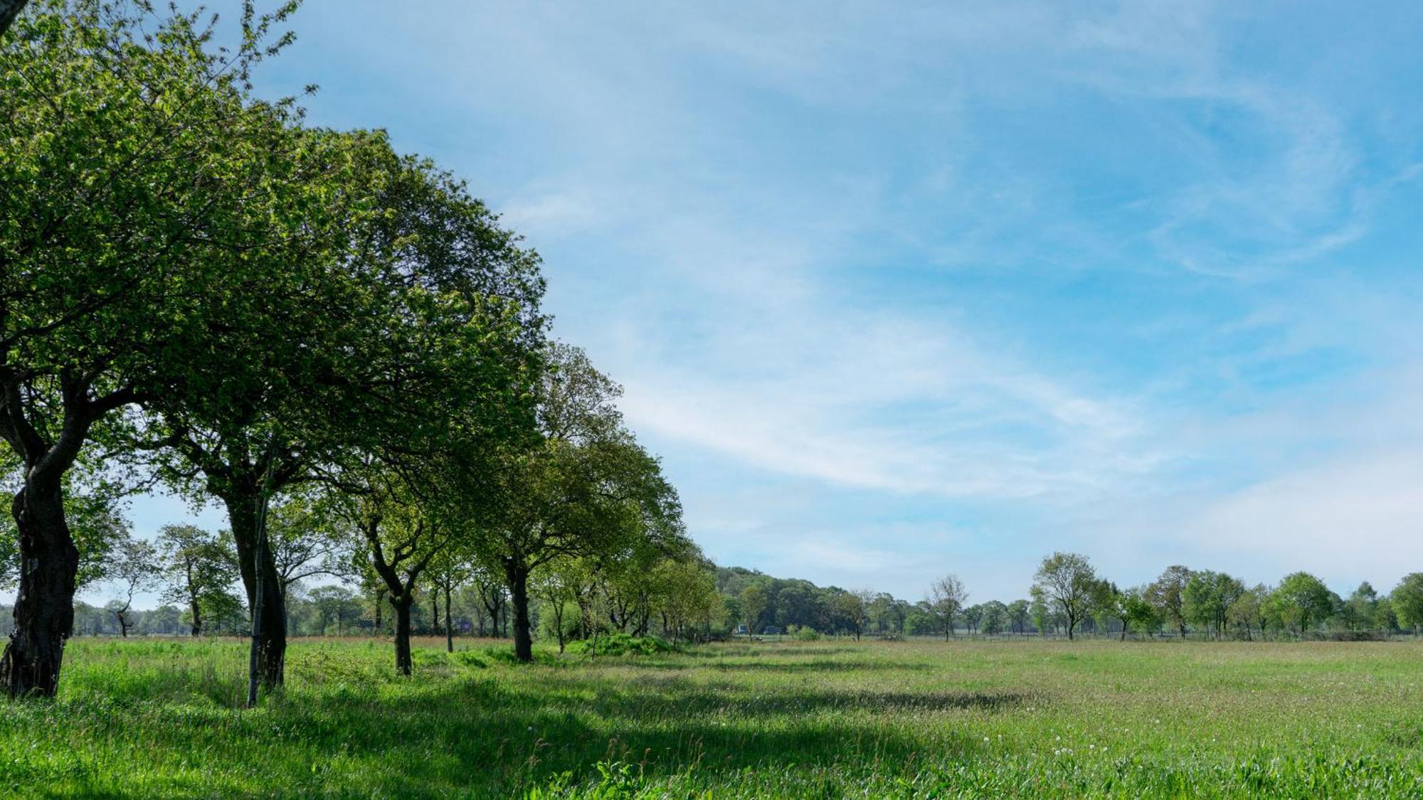 Friesensee Camping Und Ferienpark Wittmund Exterior foto